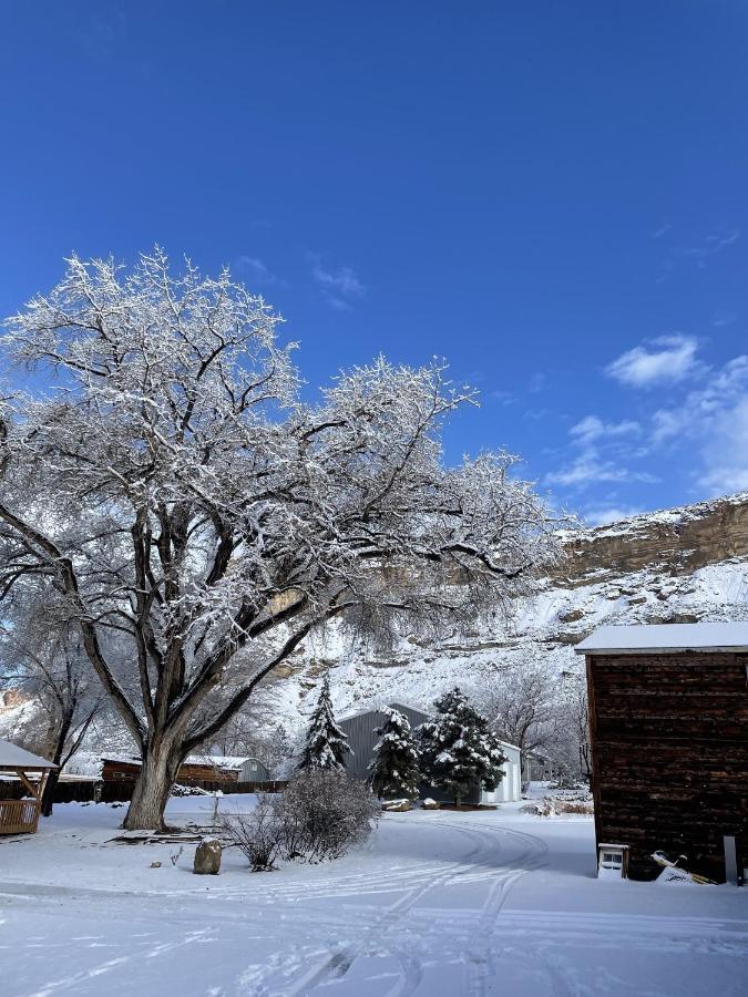 The Homestead Palisade Exterior photo